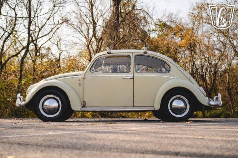 1965 Volkswagen Beetle