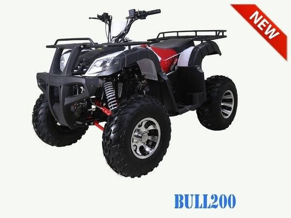 2023 TAO MOTOR BULL 200 for sale at Advanti Powersports in Mesa, AZ