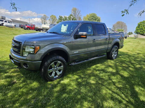 2013 Ford F-150