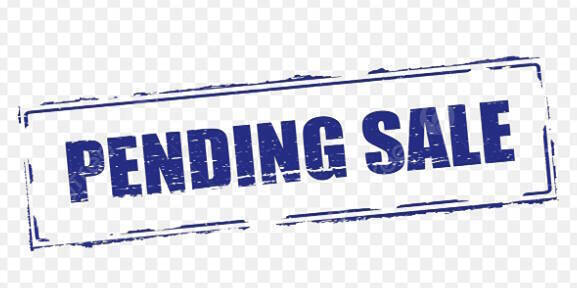 2026 Denago Mudhawk 10FI