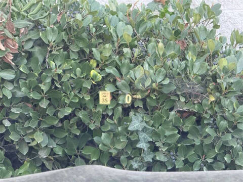 2023 BMW 8 Series 840i