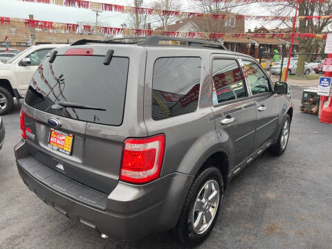 2011 Ford Escape XLT