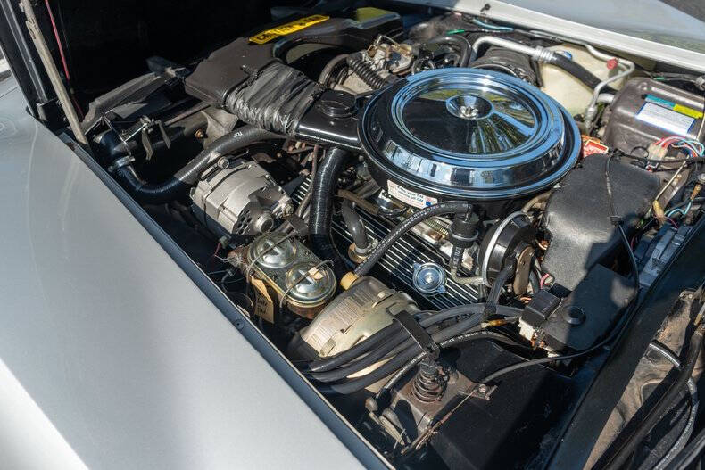 1981 Chevrolet Corvette