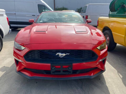 2019 Ford Mustang EcoBoost