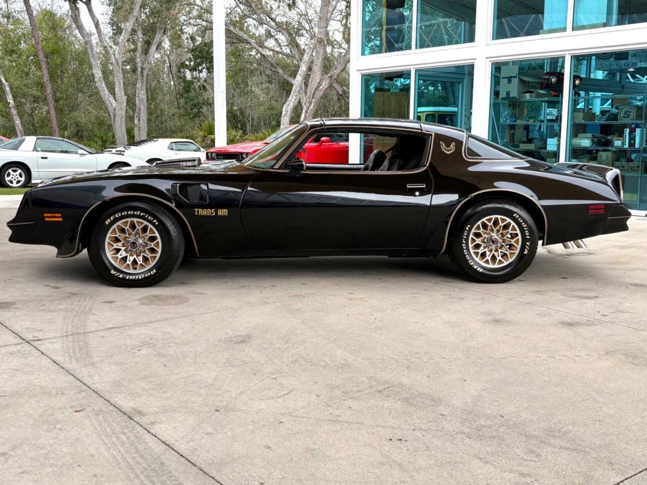 1977 Pontiac Firebird 22