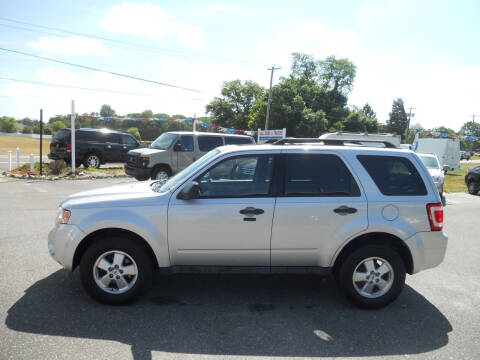 2011 Ford Escape for sale at All Cars and Trucks in Buena NJ