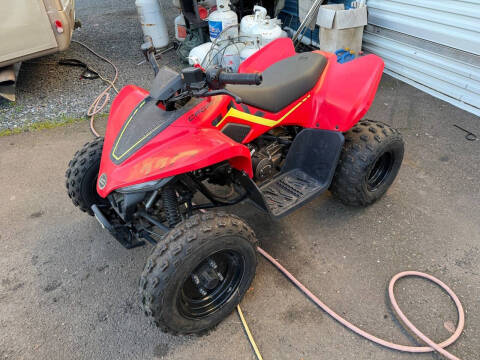 2023 CFMoto CForce EV110