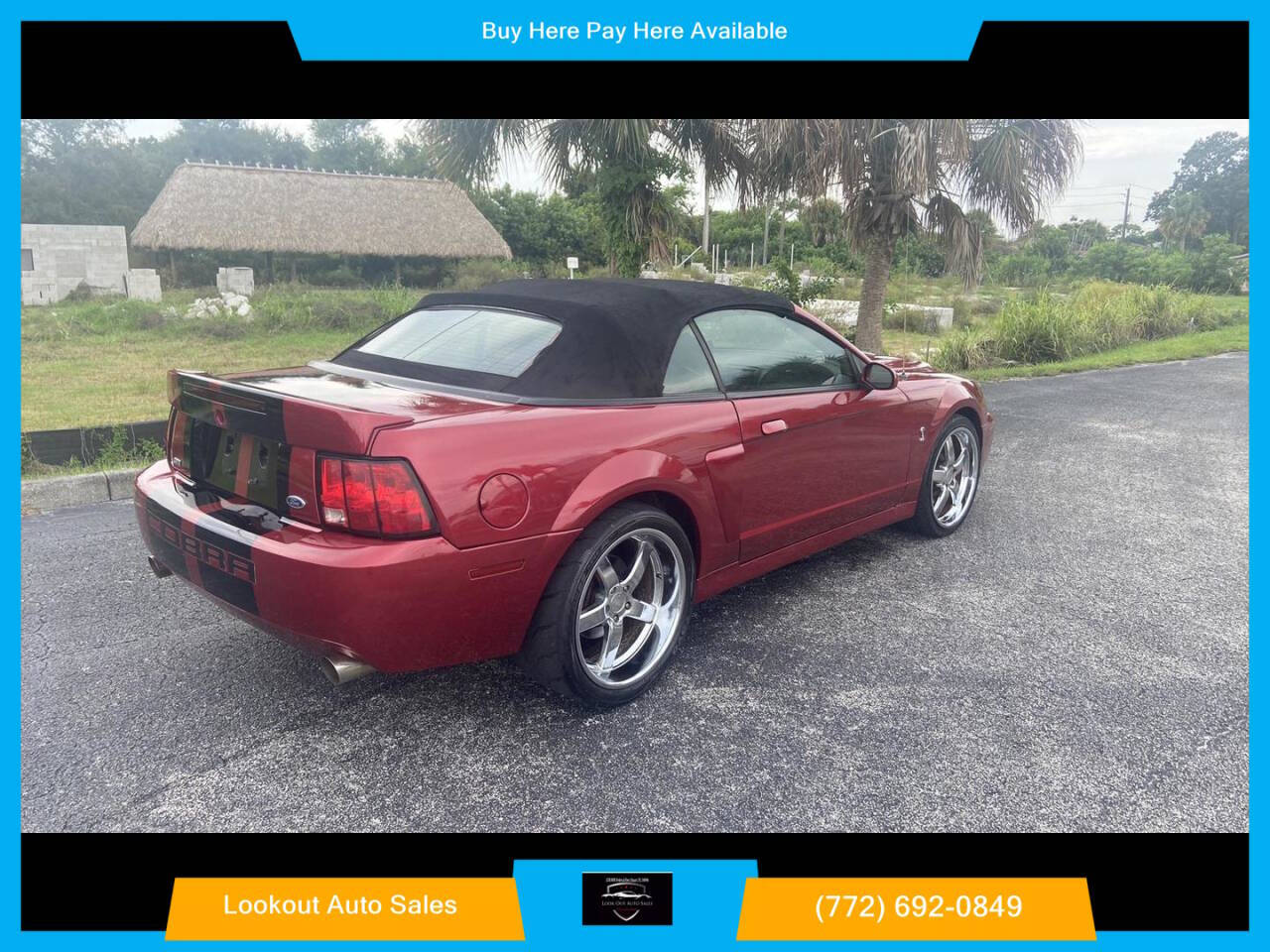 2003 Ford Mustang SVT Cobra for sale at Lookout Auto Sales in Stuart, FL