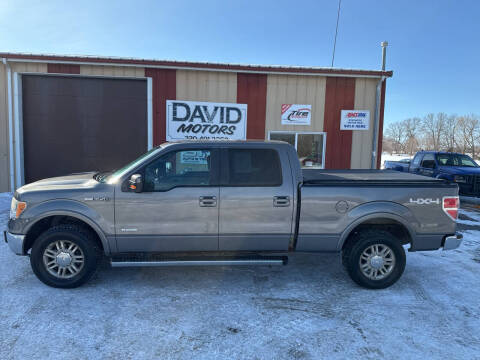 2011 Ford F-150 for sale at DAVID MOTORS LLC in Grey Eagle MN