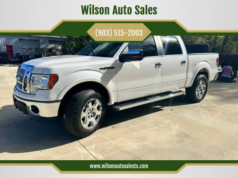 2010 Ford F-150 for sale at Wilson Auto Sales in Chandler TX