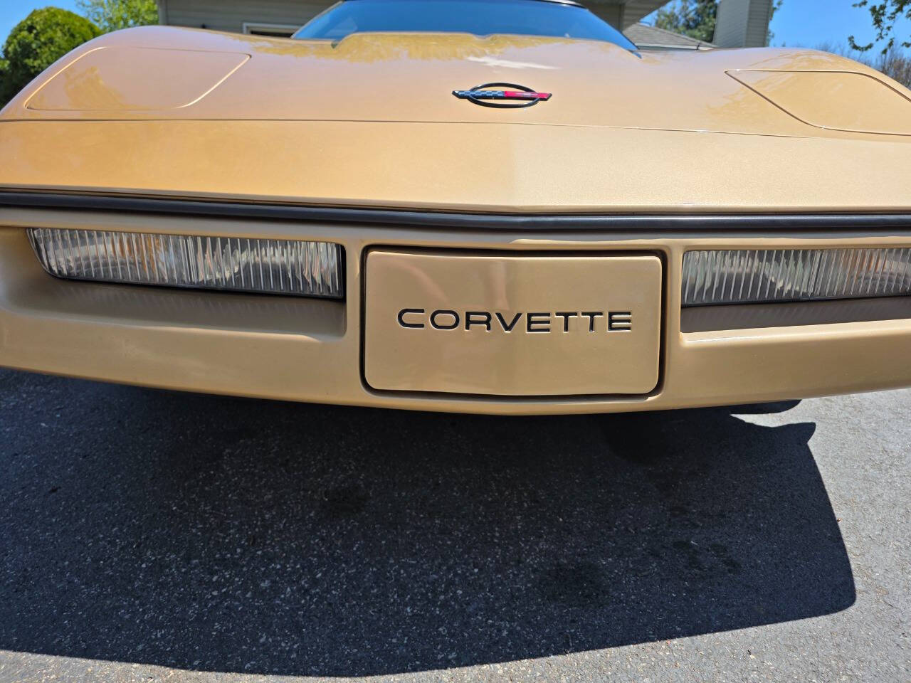 1984 Chevrolet Corvette 19