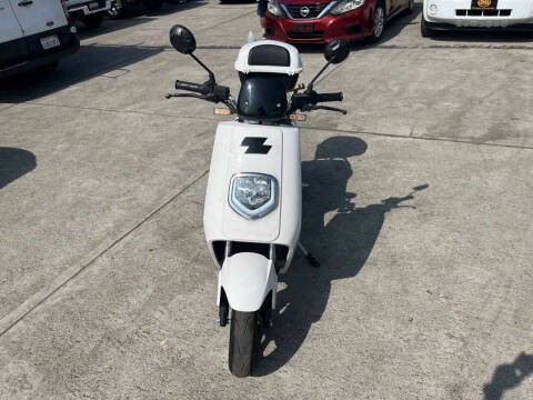 2020 Zebra E-bike