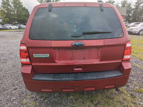 2011 Ford Escape XLT
