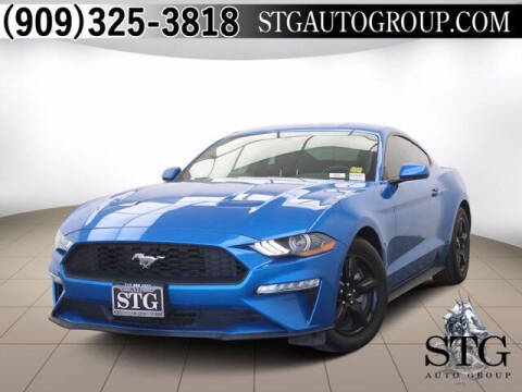 2019 Ford Mustang