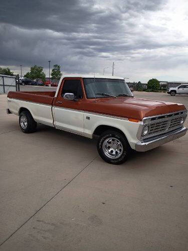1973 Ford F-100