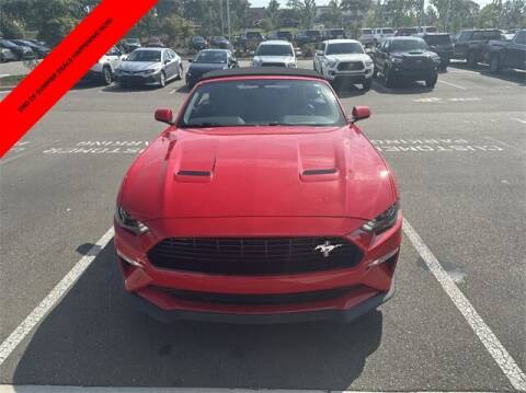 2019 Ford Mustang for sale at PHIL SMITH AUTOMOTIVE GROUP - Pinehurst Toyota Hyundai in Southern Pines NC