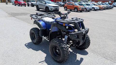 2025 TrailMaster 200 Utility