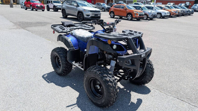 2025 TrailMaster 200 Utility