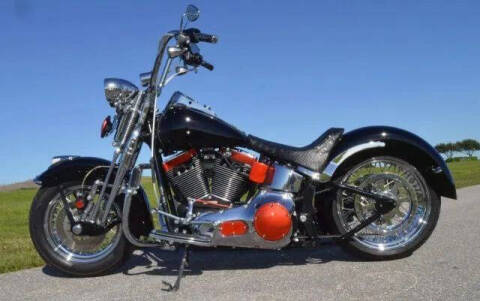 2002 Harley-Davidson FLSTS Heritage Springer