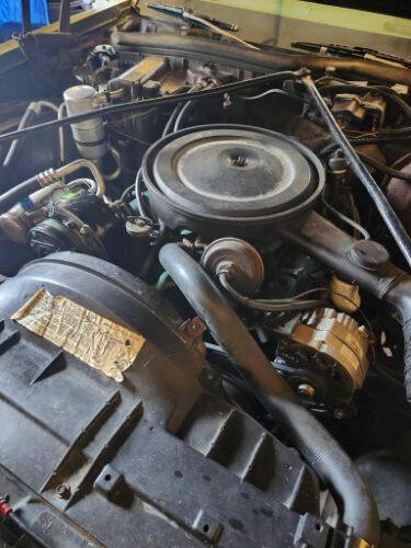 1979 Oldsmobile Delta Eighty-Eight