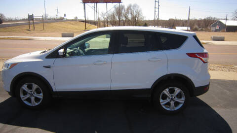2014 Ford Escape for sale at Auto Shoppe in Mitchell SD