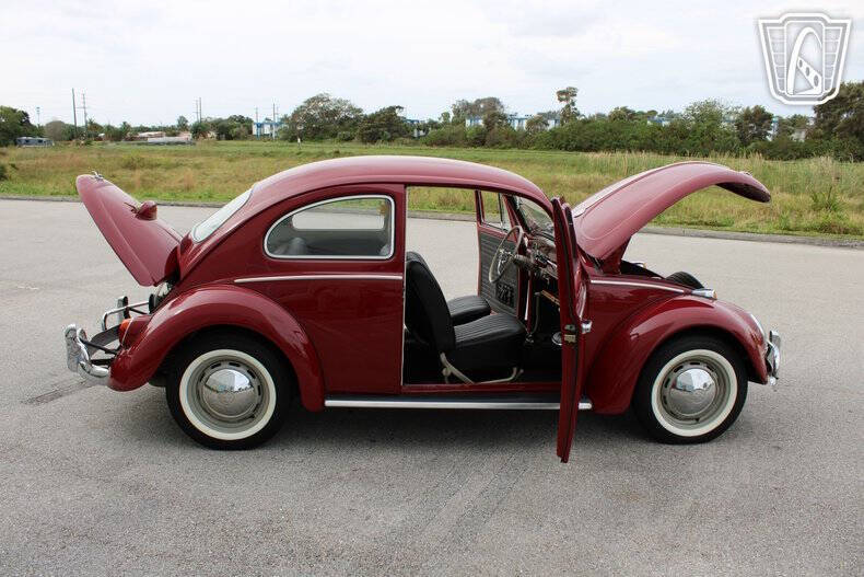 1969 Volkswagen Beetle