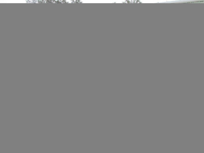 2006 Chevrolet Avalanche for sale at New Gen Motors in Bartow FL