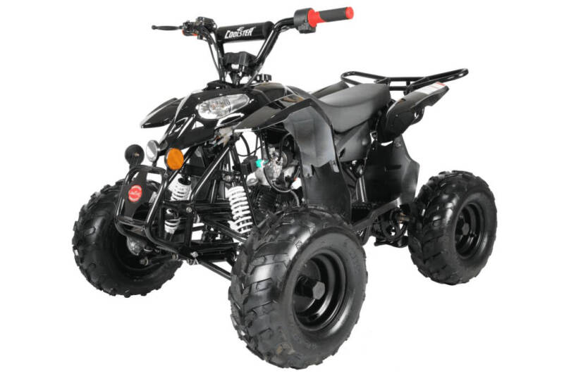 2025 Coolster 110cc 3050B