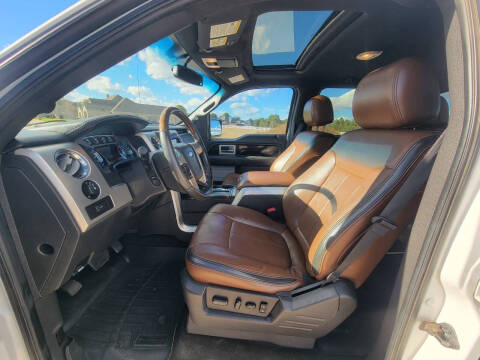 2014 Ford F-150 Platinum