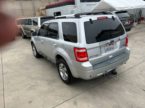 2010 Ford Escape Limited