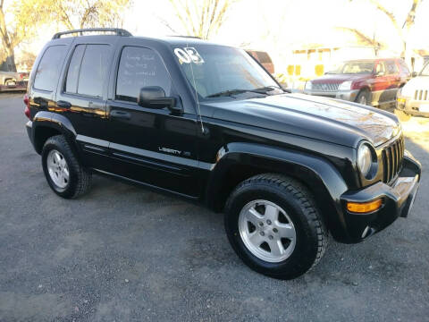 2003 Jeep Liberty for sale at ALEMAN AUTO INC in Norfolk NE