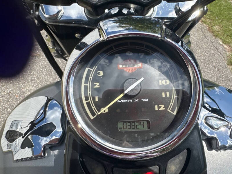 2014 Harley-Davidson FLS 103