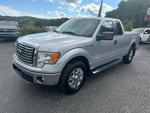 2012 Ford F-150 for sale at Pine Grove Auto Sales LLC in Russell PA