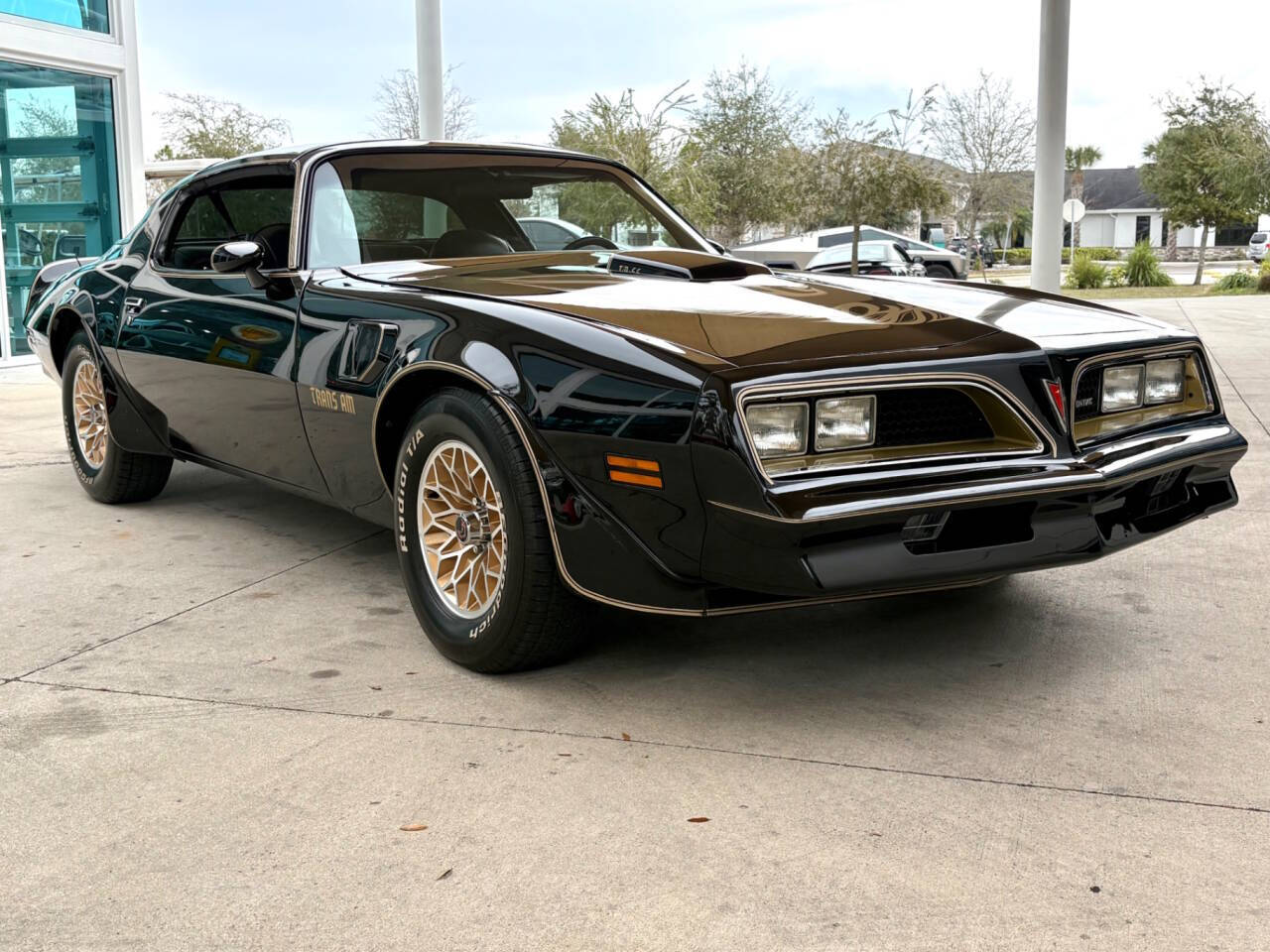 1977 Pontiac Firebird 8