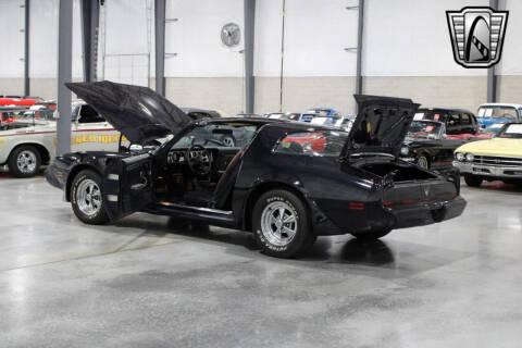 1981 Pontiac Firebird Trans Am