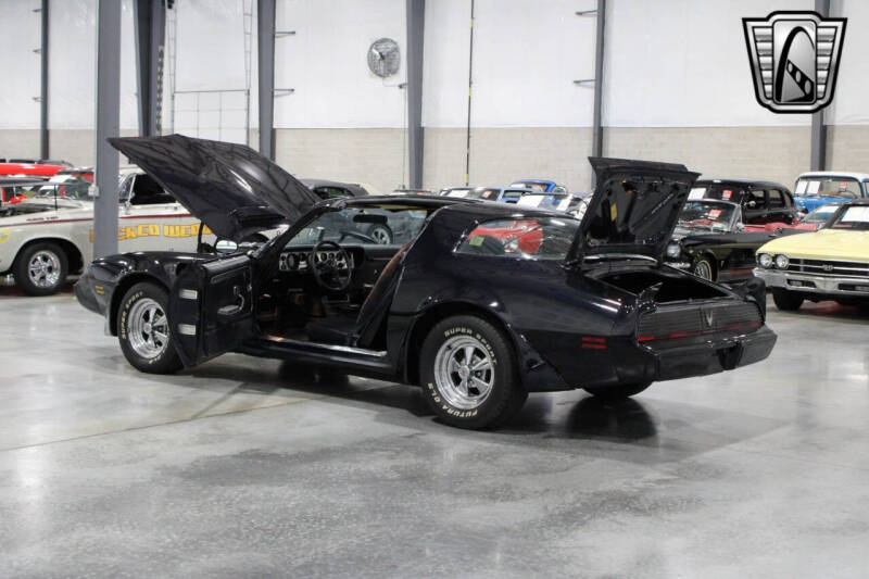 1981 Pontiac Firebird Trans Am