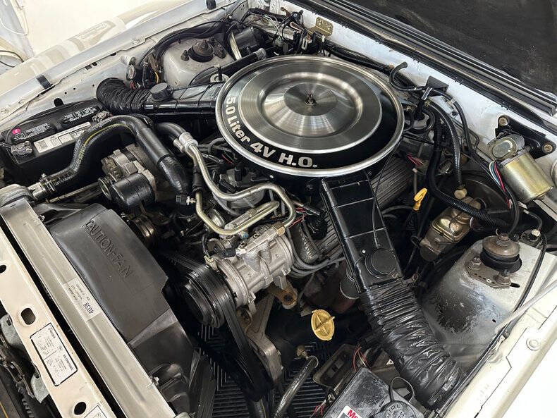 1983 Ford Mustang