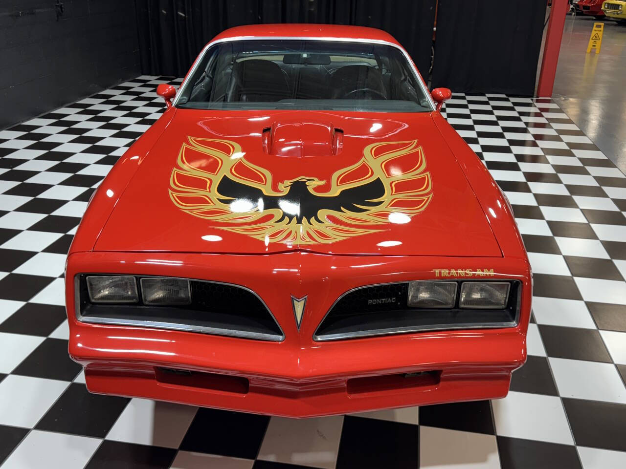 1977 Pontiac Firebird Trans Am 19