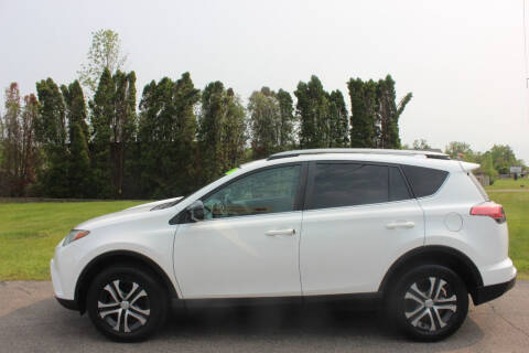 2017 Toyota RAV4 for sale at D & B Auto Sales LLC in Washington MI