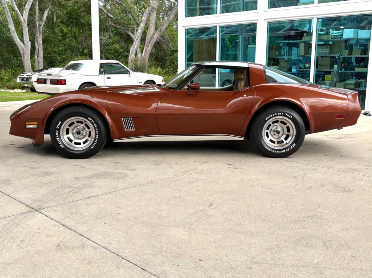1981 Chevrolet Corvette 10