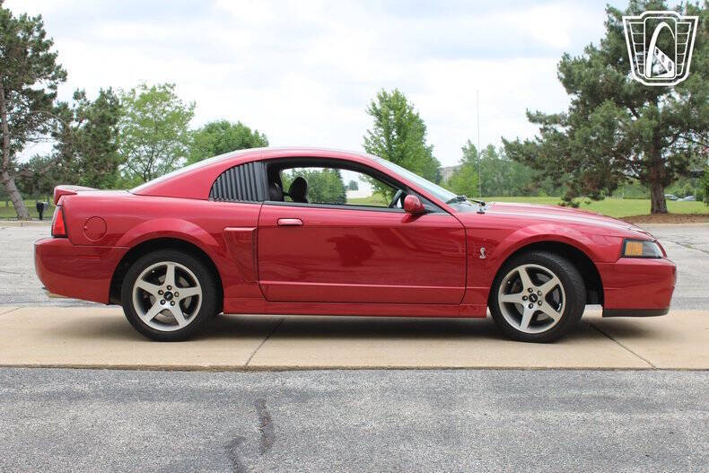2003 Ford Mustang SVT Cobra
