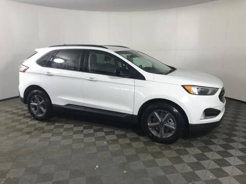 2023 Ford Edge for sale at Everyone's Financed At Borgman in Grandville MI