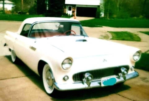 1955 Ford Thunderbird for sale at Zoom Classic Cars, LLC in Lake Hiawatha NJ