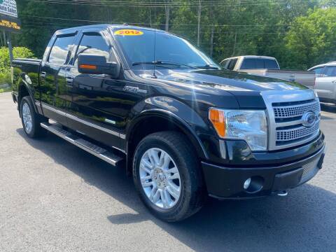2012 Ford F-150 for sale at Pine Grove Auto Sales LLC in Russell PA