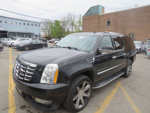 2014 Cadillac Escalade ESV for sale at Saw Mill Auto in Yonkers NY