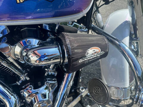2010 Harley-Davidson FLSTC -