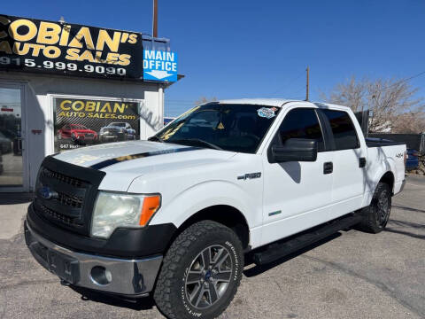 2014 Ford F-150 for sale at COBIANS AUTO SALES in Socorro TX