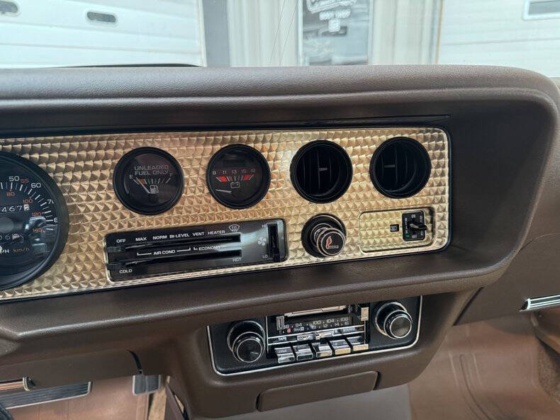 1981 Pontiac Firebird Trans Am