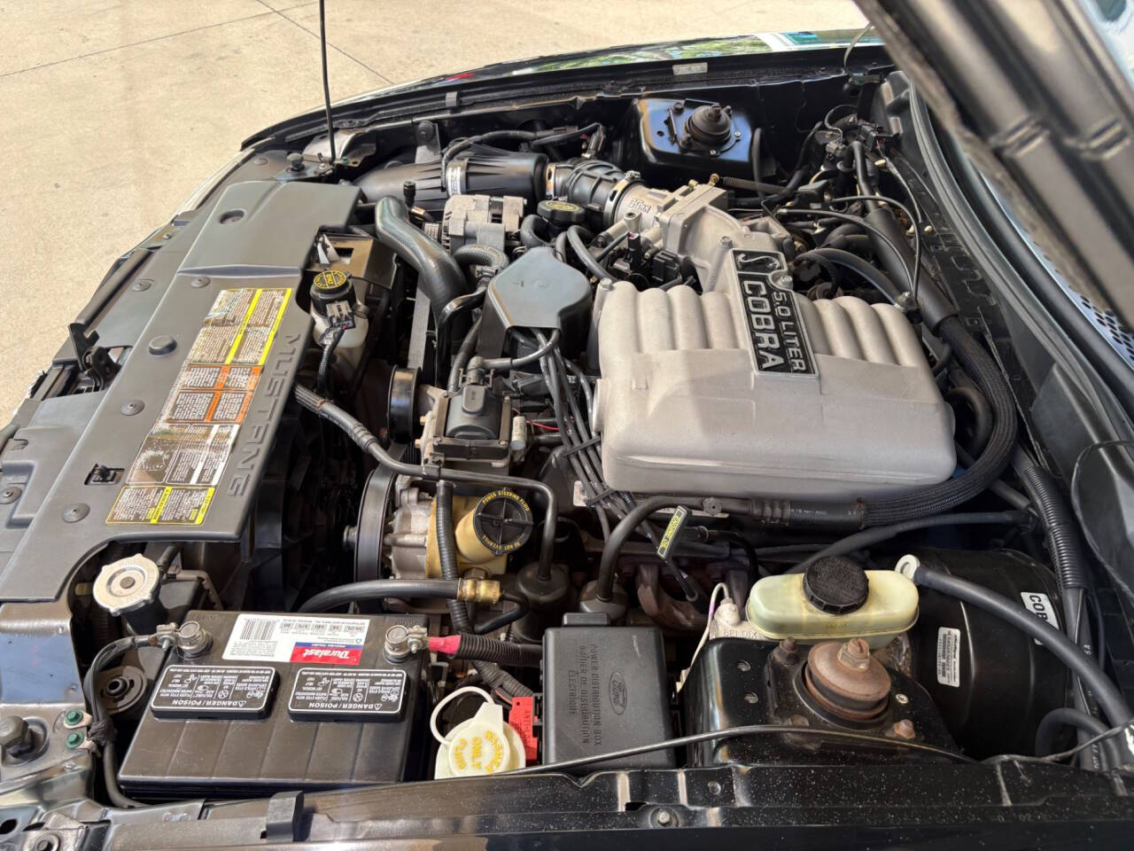 1995 Ford Mustang SVT Cobra 45