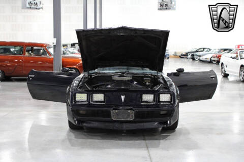 1981 Pontiac Firebird Trans Am